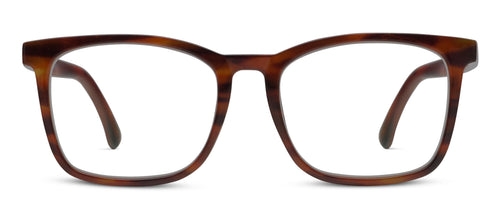 Tortoise Horn