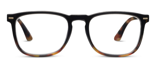 Black/Tortoise
