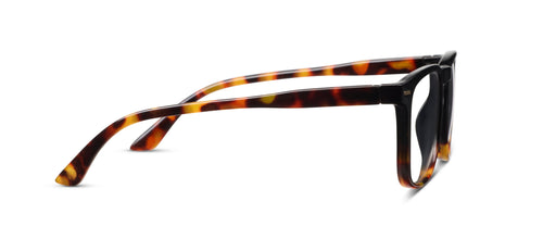 Black/Tortoise