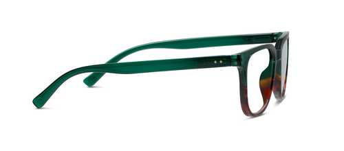 Green/Tortoise Horn